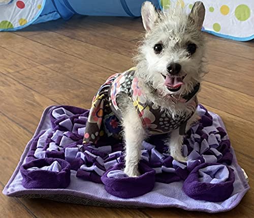 Doodle Dogs - Snuffle Activity Mat - Level 2