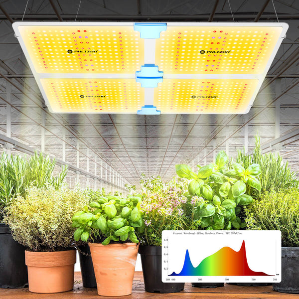 phlizon led grow light