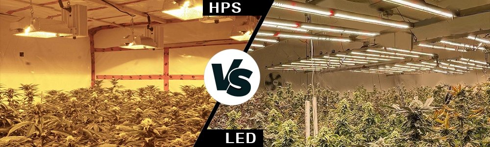 phlizon led grow light and hps grow light