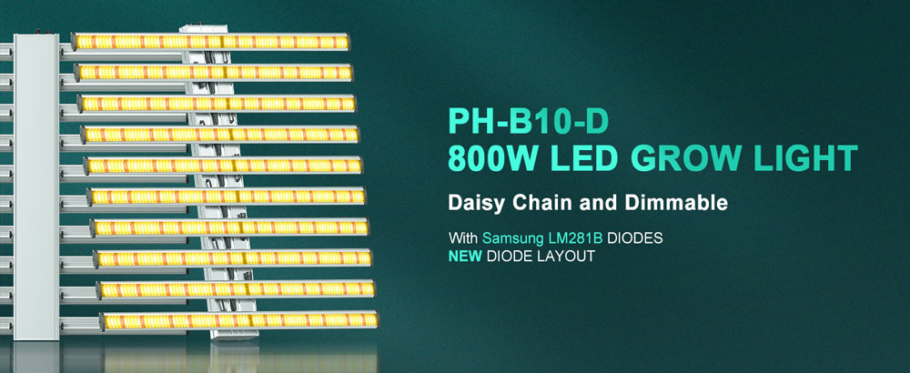 PHLIZON PH-B10-D 800W Full-spectrum Dimmable LED Grow Light with Samsung 281B LED