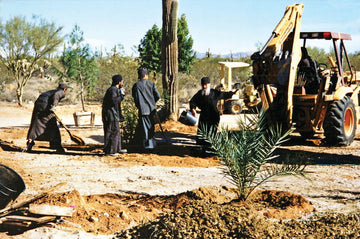 Elder Ephraim planting trees