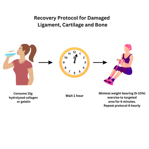 Recovery Protocol for Damaged  Ligament, Cartilage and Bone