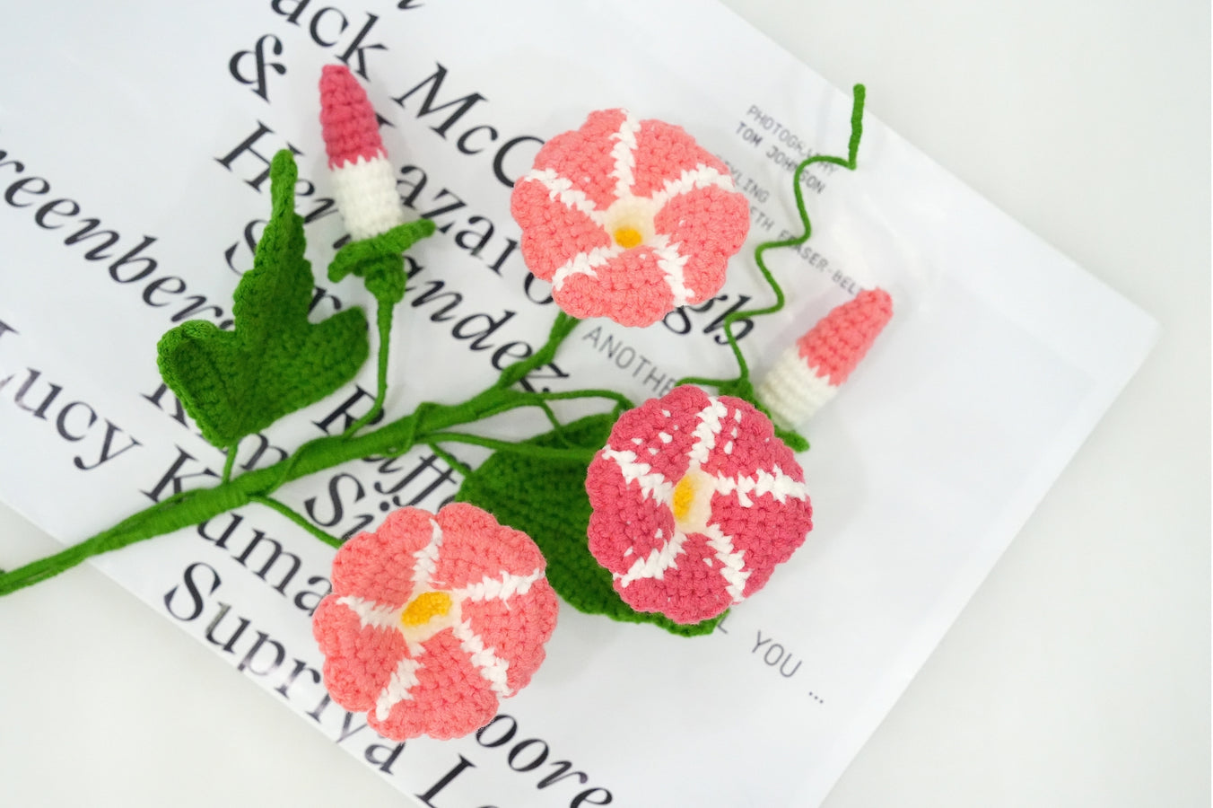 Image of  Crochet Morning Glory Flower Pattern