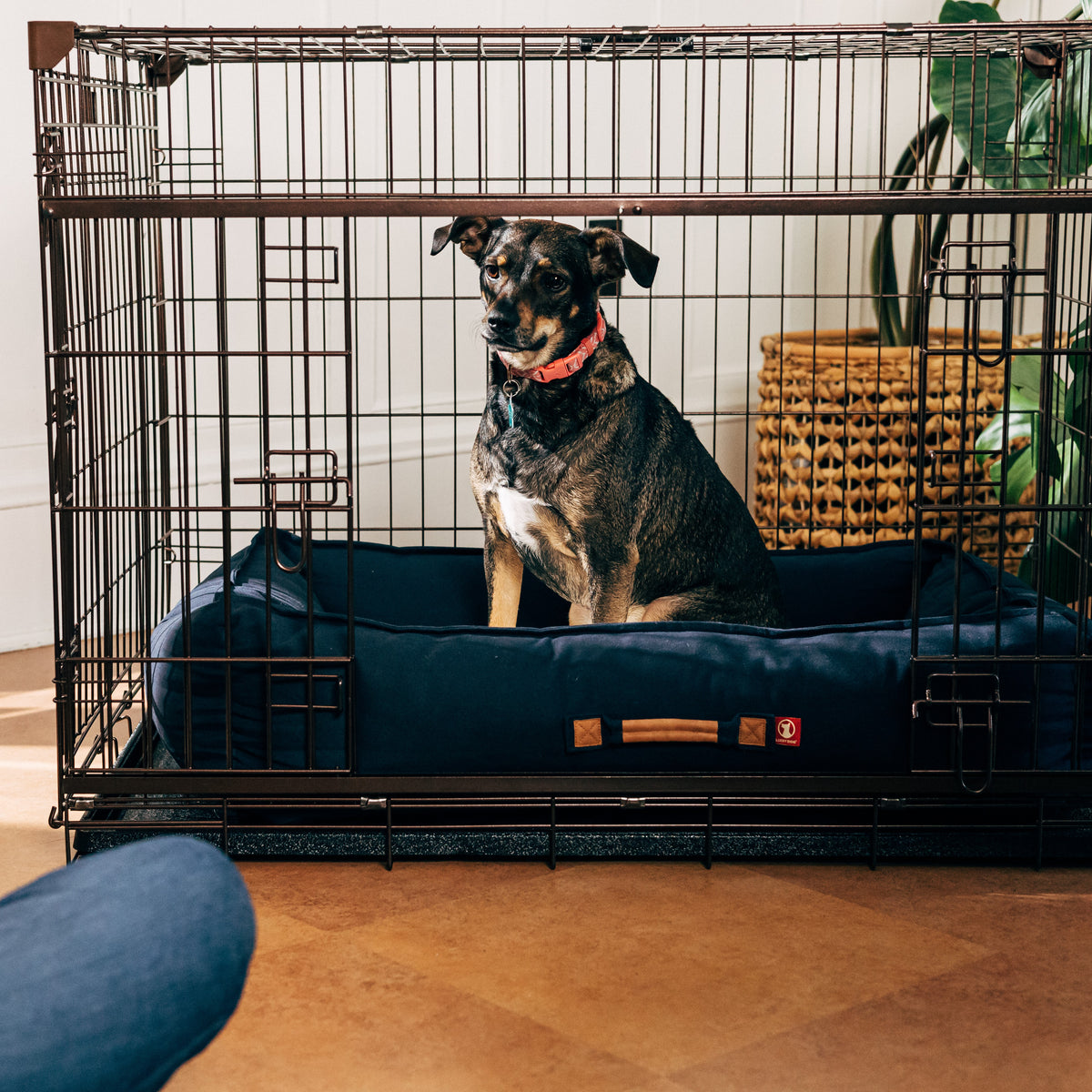 Lucky Dog® Dwell Series Crate® - Bronze Finish