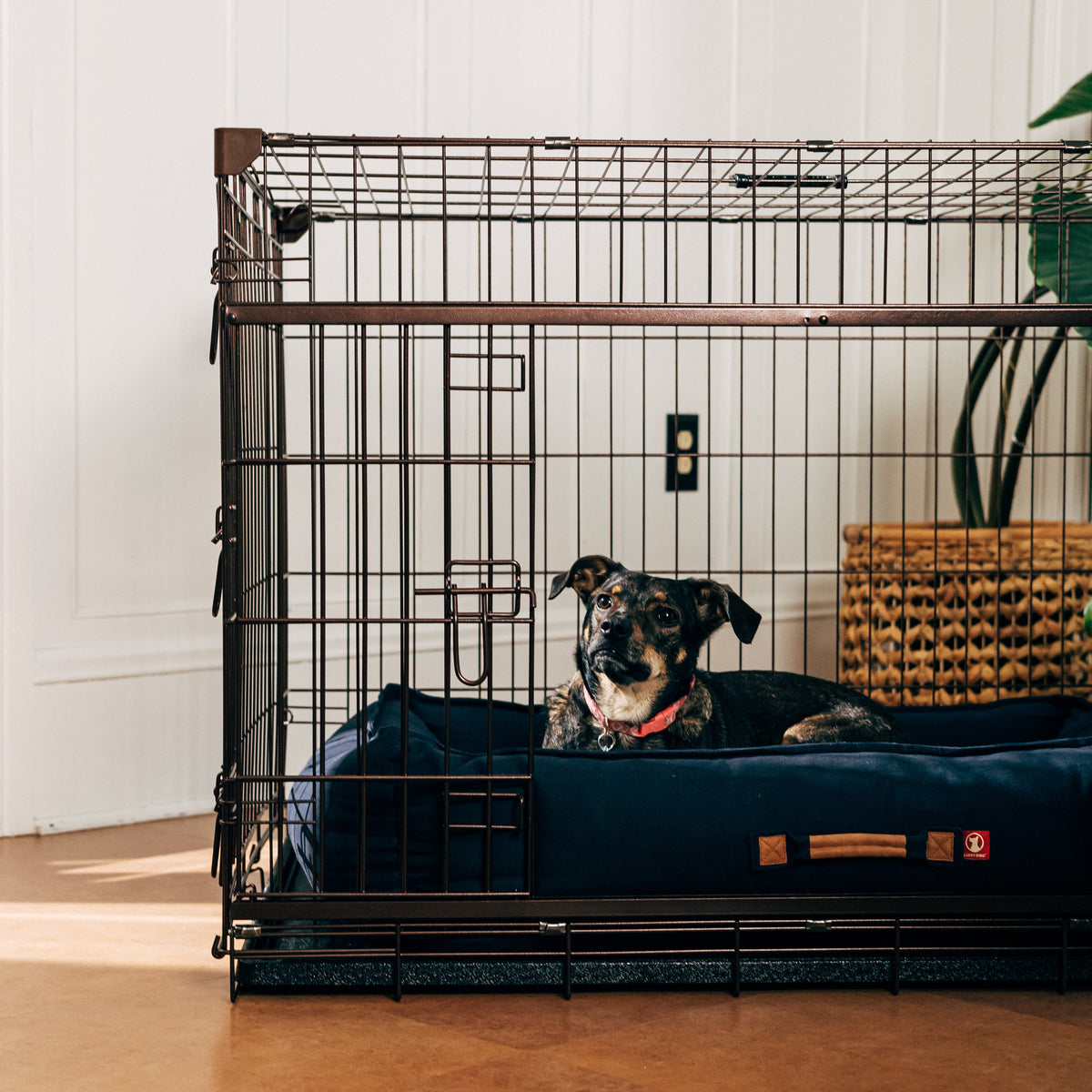 Lucky Dog® Dwell Series Crate® - Bronze Finish