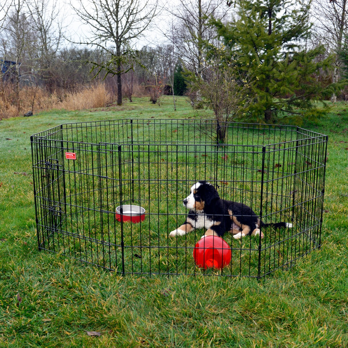 Lucky Dog® Play Series Exercise Pens