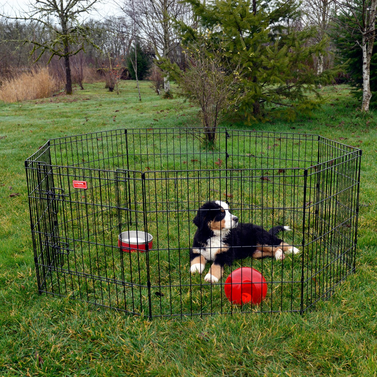 Lucky Dog® Play Series Exercise Pens