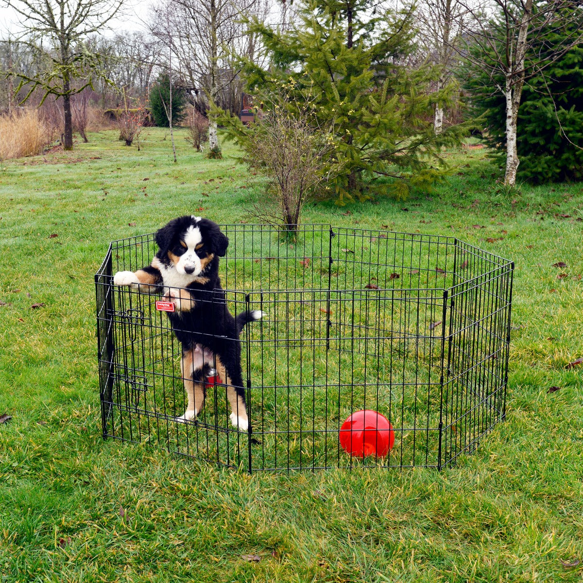 Lucky Dog® Play Series Exercise Pens