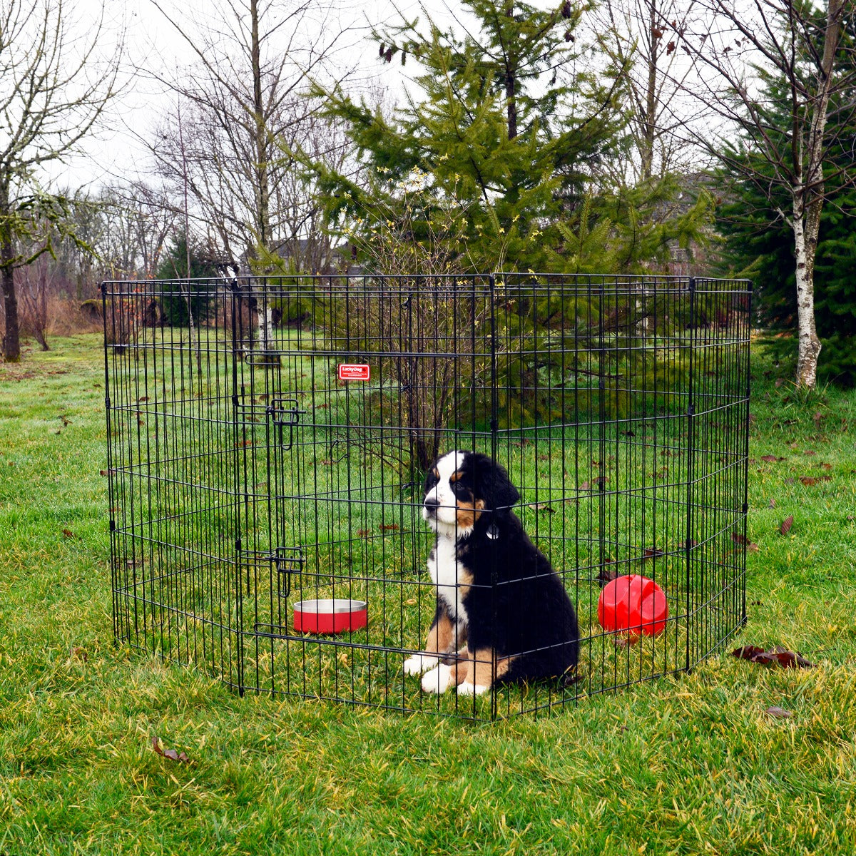 Lucky Dog® Play Series Exercise Pens