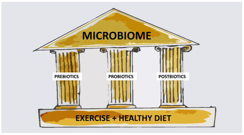 The Pillars to a Diverse Microbiome