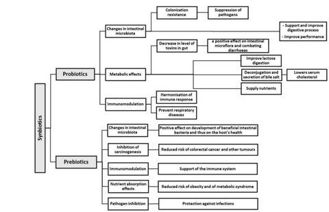 The Benefits of Probiotics and Prebiotics