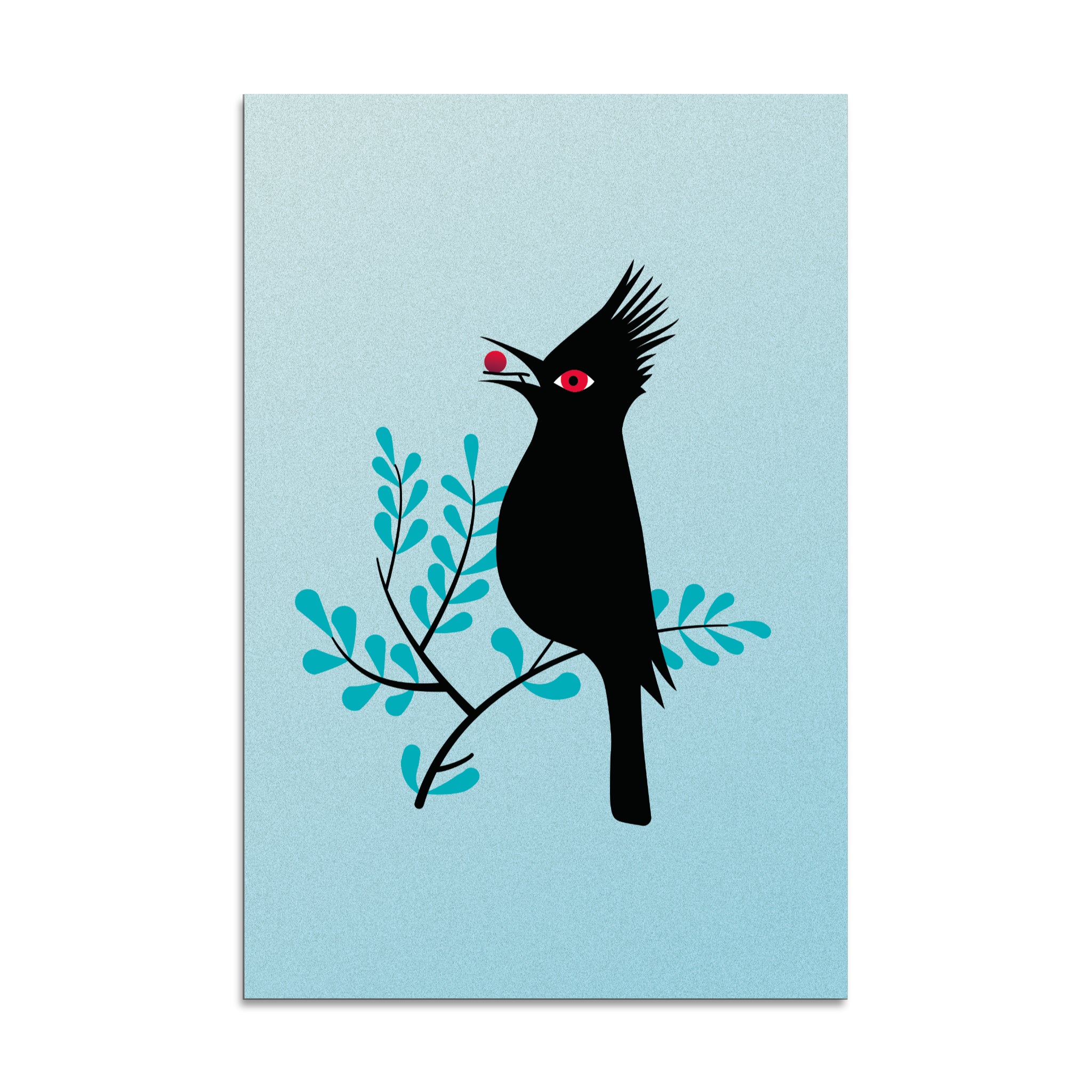 "Phainopepla" Print