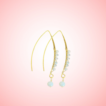 V-Wire crystal earrings