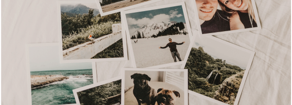 collection of polaroid style photographs