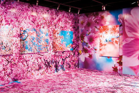 Mika Ninagawa Museum of Contemporary Art Taipei Exhibition