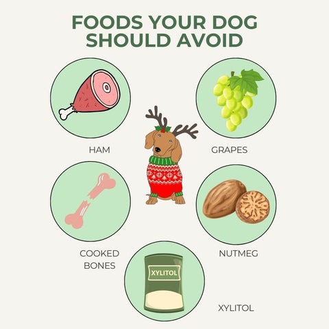 Foods your dog should avoid at Christmas.