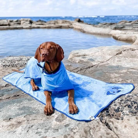 A dog in a dog robe lying on a towel at the beach.