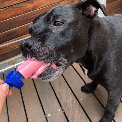 A dog eating a frozen strawberry dog treat.
