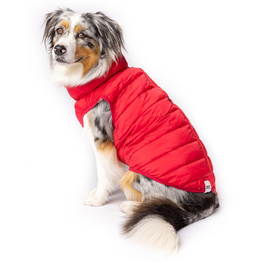 Snoot Style Dog Apparel | Sustainable, Stylish and Functional