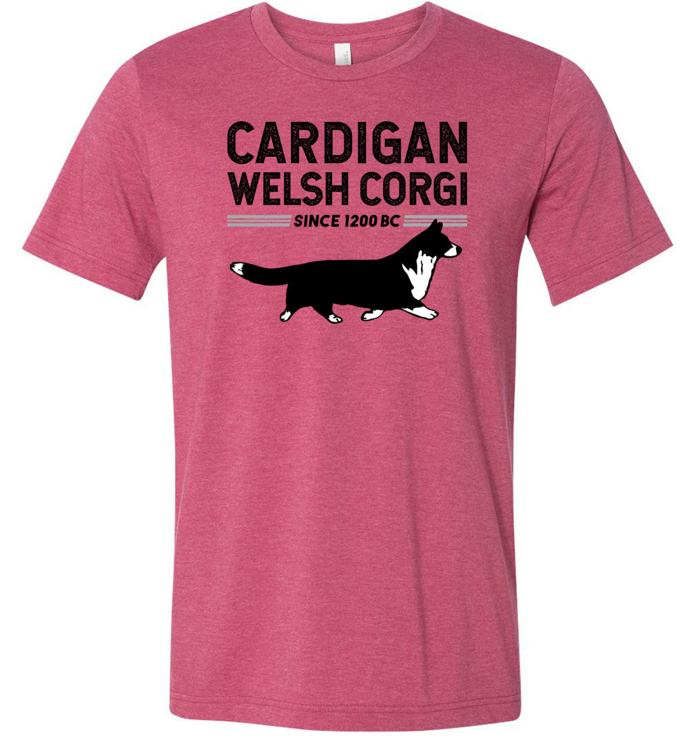 Corgi T-Shirt Women's Corgi t-shirt Corgi Art on Shirt - Barbara