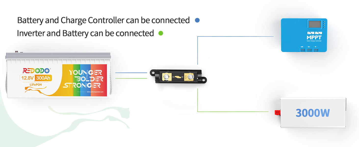 Gold-plated REDODO ANL fuses