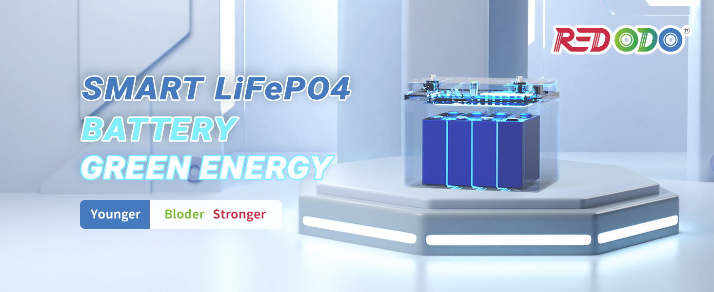 Redodo 12v 100ah lifepo4 lithium iron phosphate battery