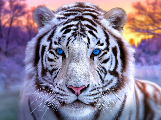 Tiger In Bush - Animal Diamond Art – All Diamond Painting Art