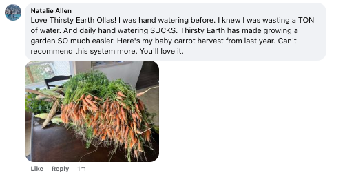 Thirsty earth olla garden watering system review