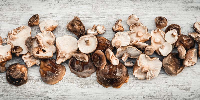 shiitake mushrooms health benefits 