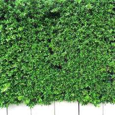 Untitled design (27).png__PID:e8861295-85ee-43fa-8553-1301fb557060