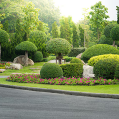 Untitled design (32).png__PID:e2f2e86e-5c1c-4139-9295-de443de1104f