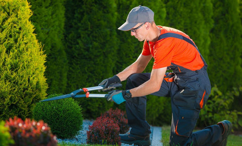 garden care service