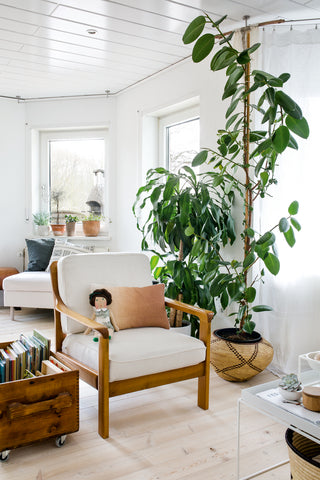 5 ideas to feel happy in your home plants decoration