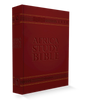 NLT Africa Study Bible (Burgundy) - 9781594526534