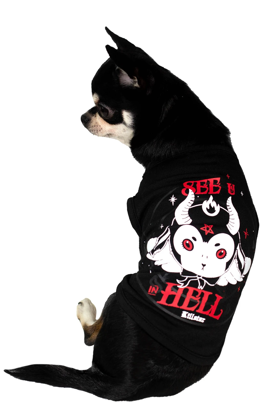 Killstar See U In Hell Pet Shirt Sourpuss Clothing