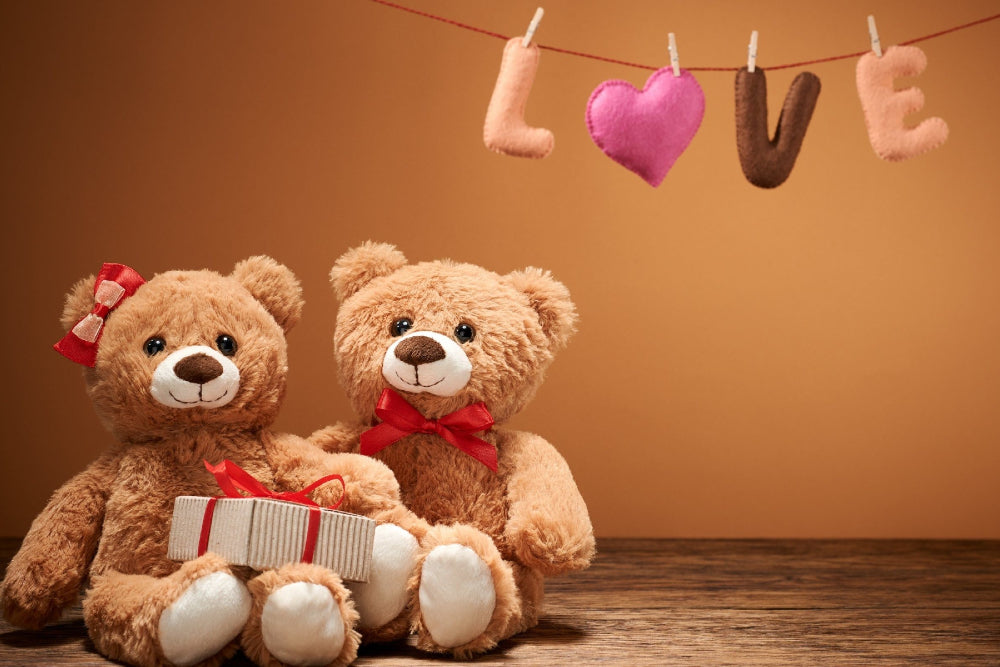 Why You Should Love Teddy Bears