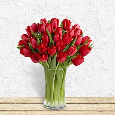 Red Tulips | 800 Flower Dubai