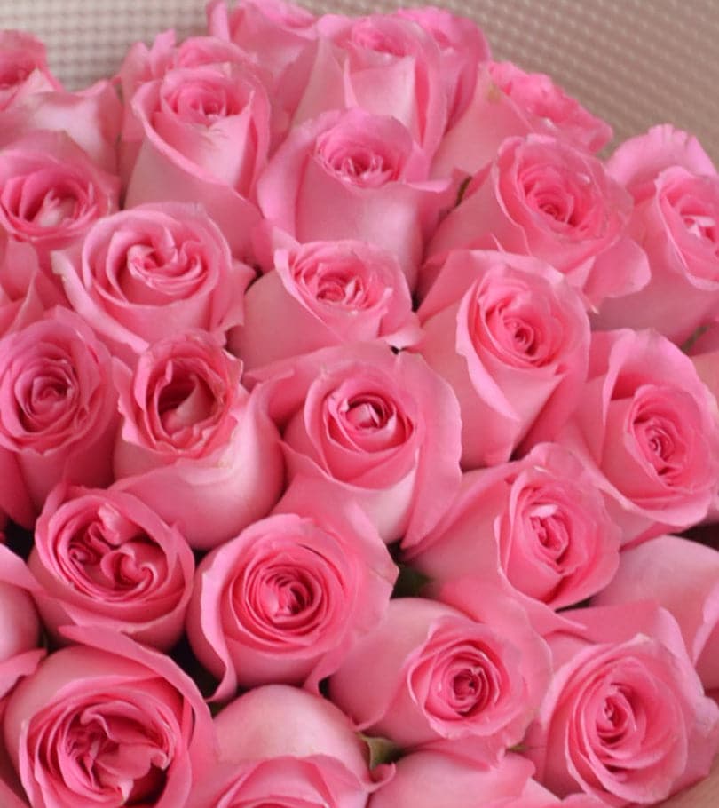 36 Pink Roses