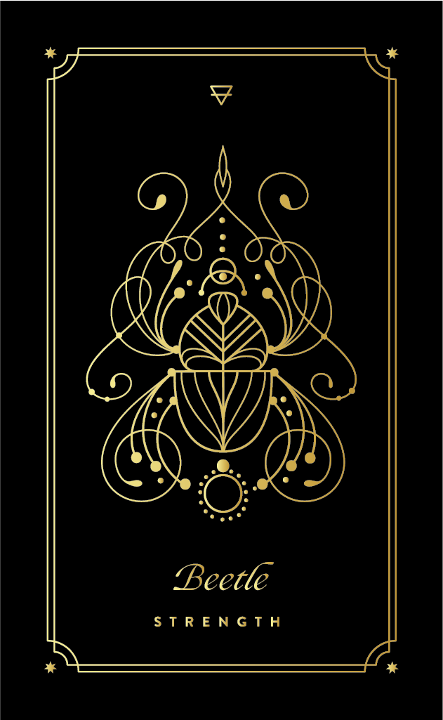 BEETLE COSMIC WILD ORACLE DECK BY COCORRINA