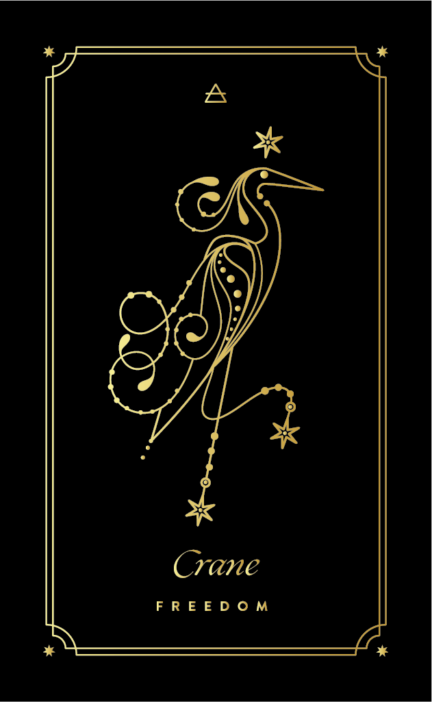 CRANE COSMIC WILD ORACLE DECK BY COCORRINA