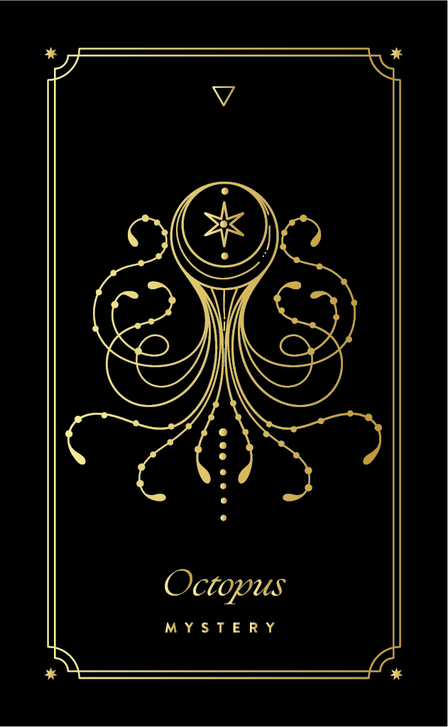 OCTOPUS COSMIC WILD ORACLE DECK BY COCORRINA
