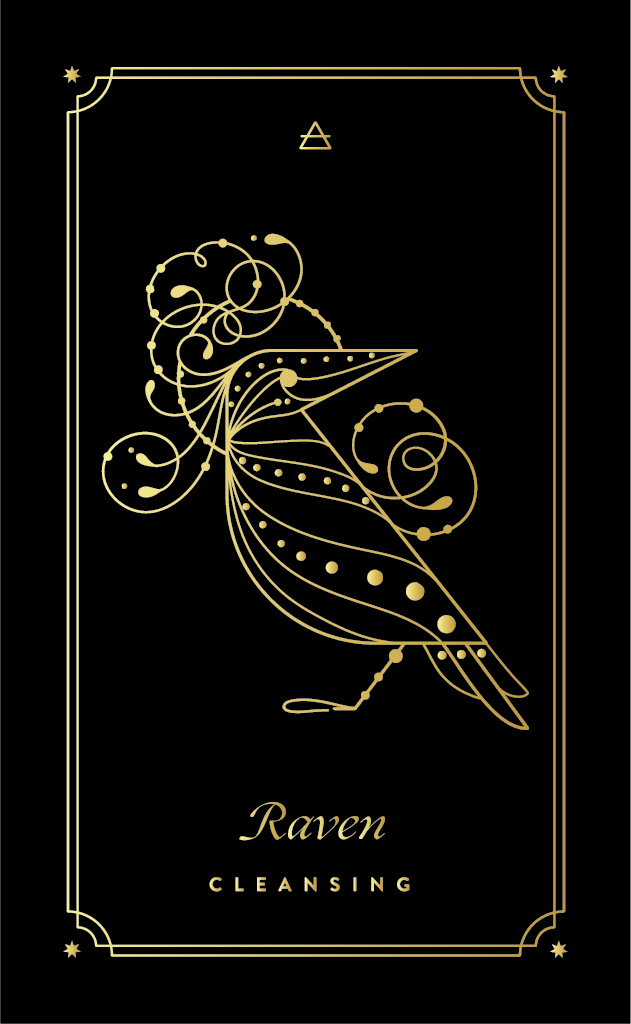 RAVEN COSMIC WILD ORACLE DECK BY COCORRINA