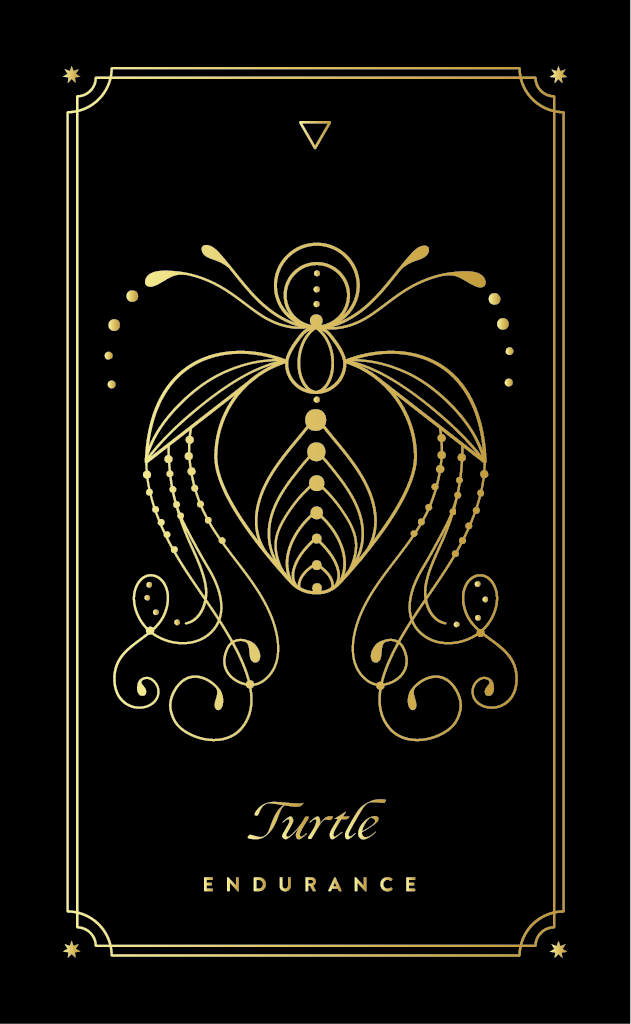 TURTLE COSMIC WILD ORACLE DECK BY COCORRINA