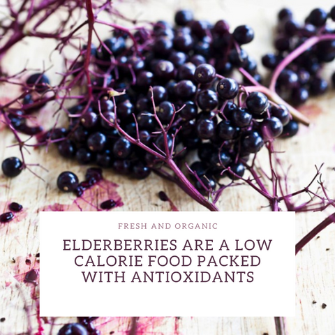 Elderberry products and supplements