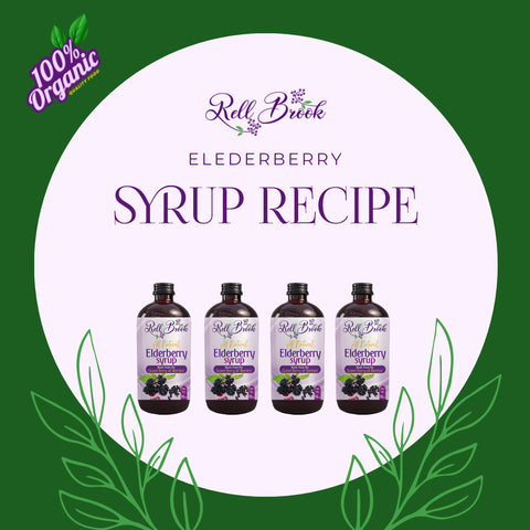 elderberry syrup recipe