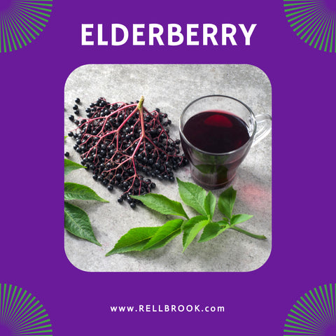 elderberry fruit image with juice
