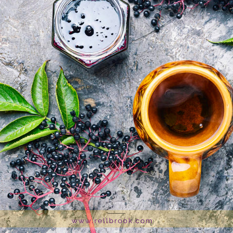 elderberry tea and syrup