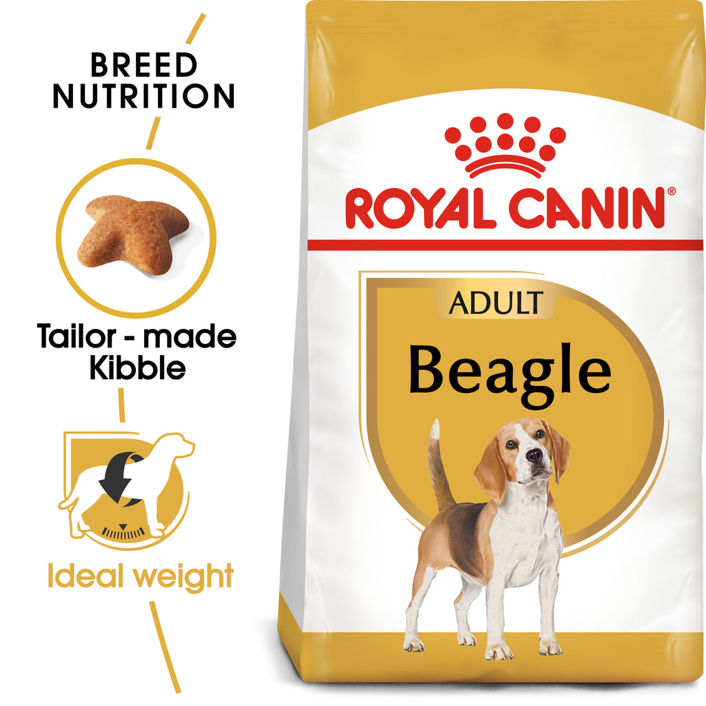 beagle nutrition