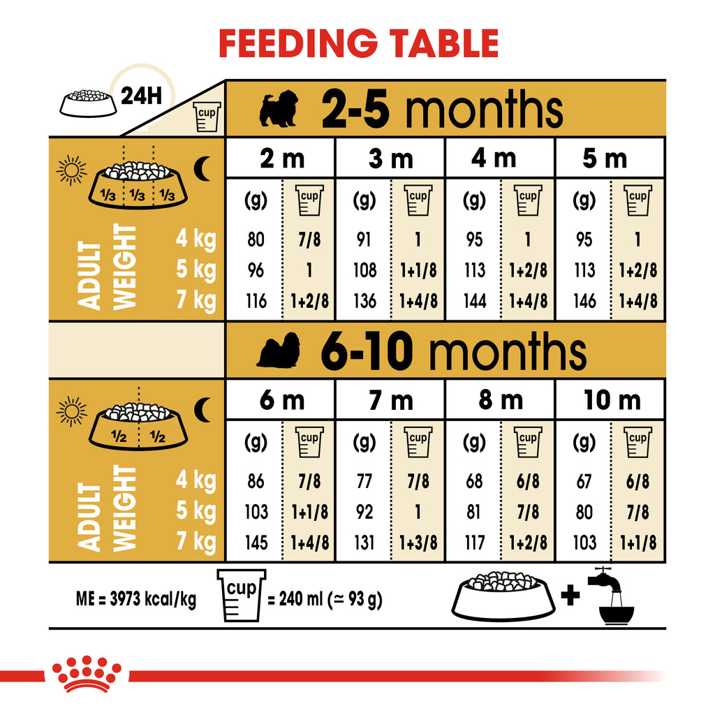 how much should a shih tzu weigh at 1 year