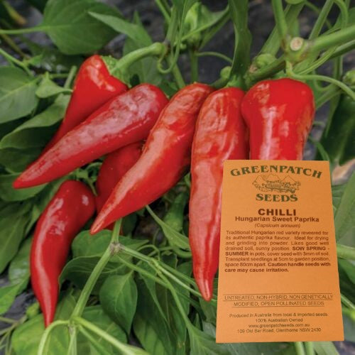 Chilli Seed Packet - Hungarian Sweet Paprika - Certified Organic Vegetable  Seeds – YourVegePatch